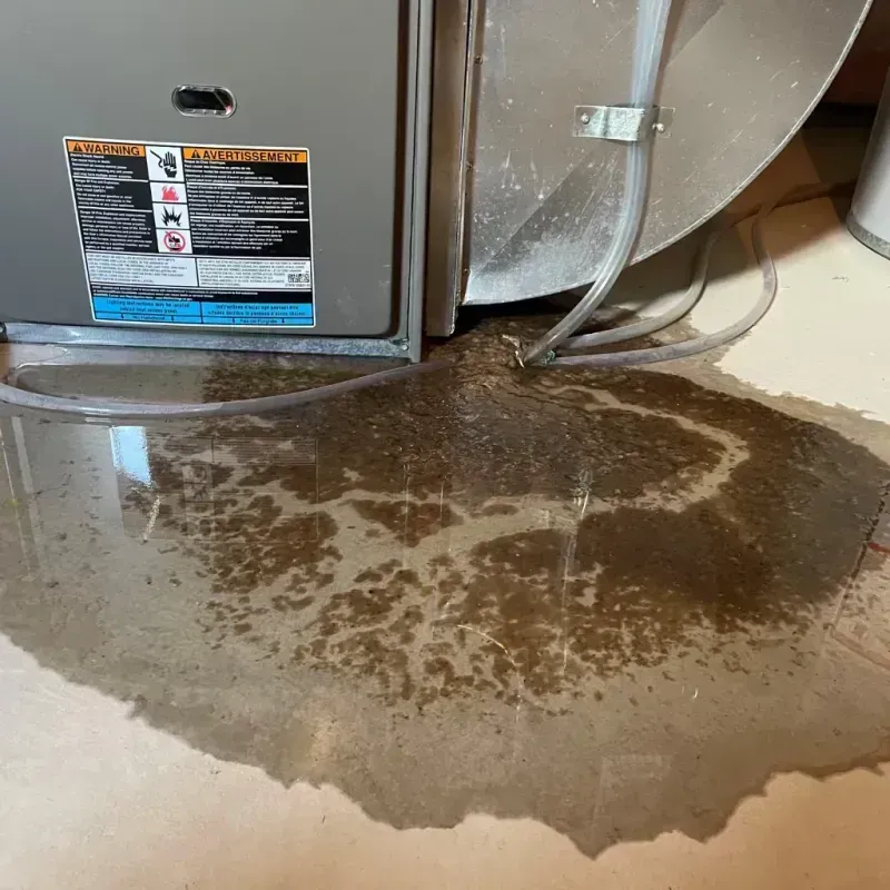 Appliance Leak Cleanup in Ashland, PA